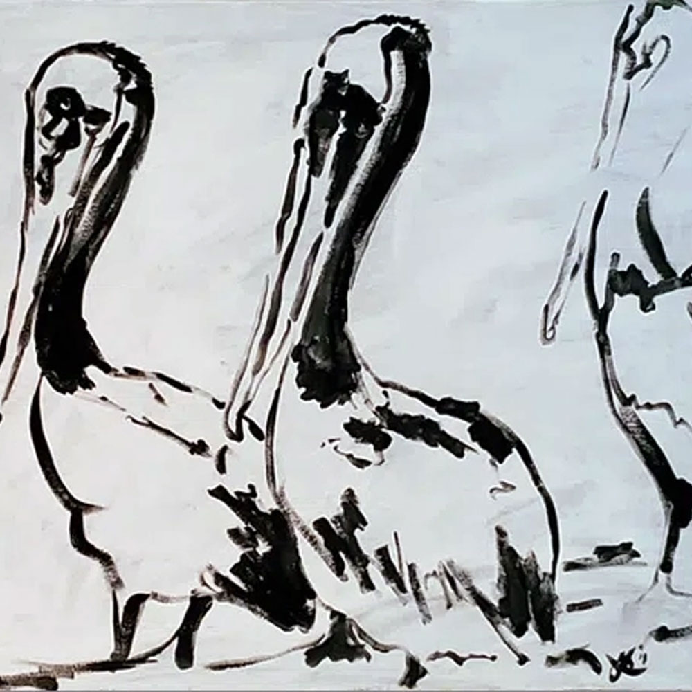 Birds In The Water, Three Pelicans